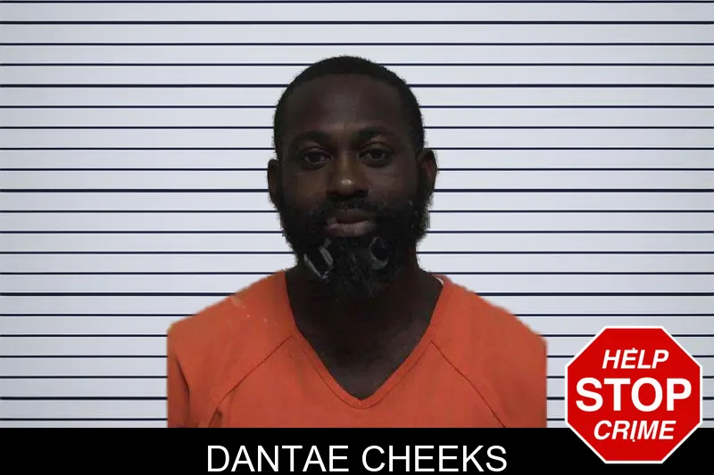 Dantae Cheeks mugshot