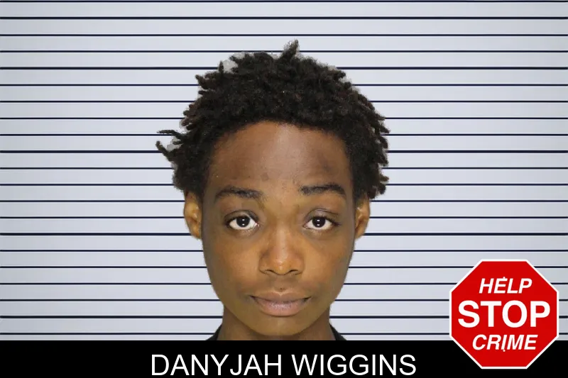 Danyjah Wiggins mugshot