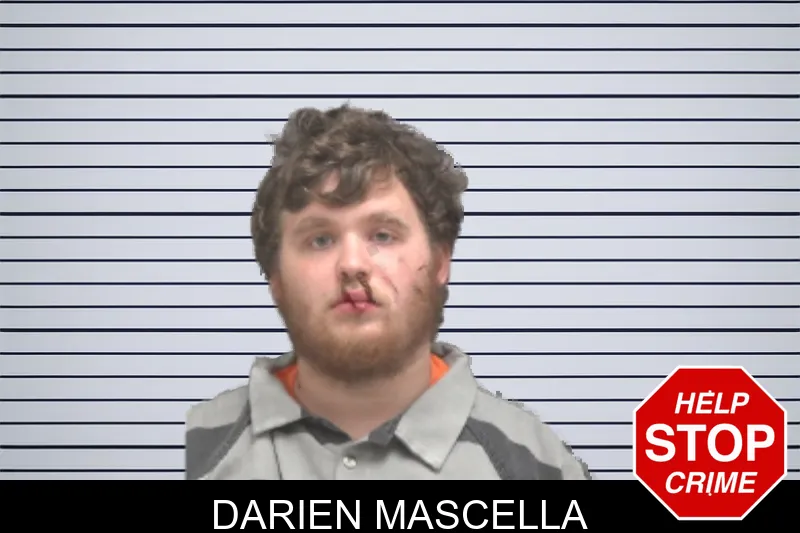 Darien Mascella mugshot