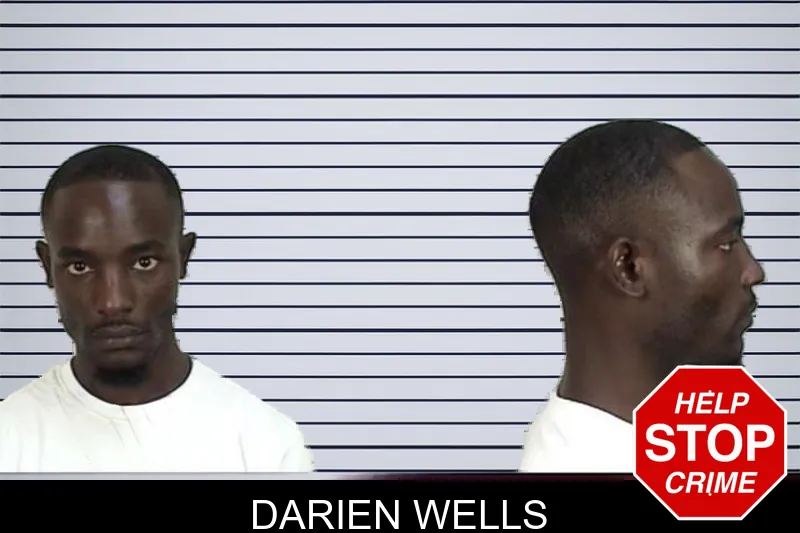 Darien Wells mugshot