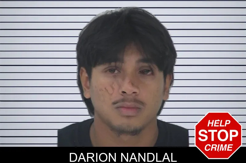 Darion Nandlal mugshot