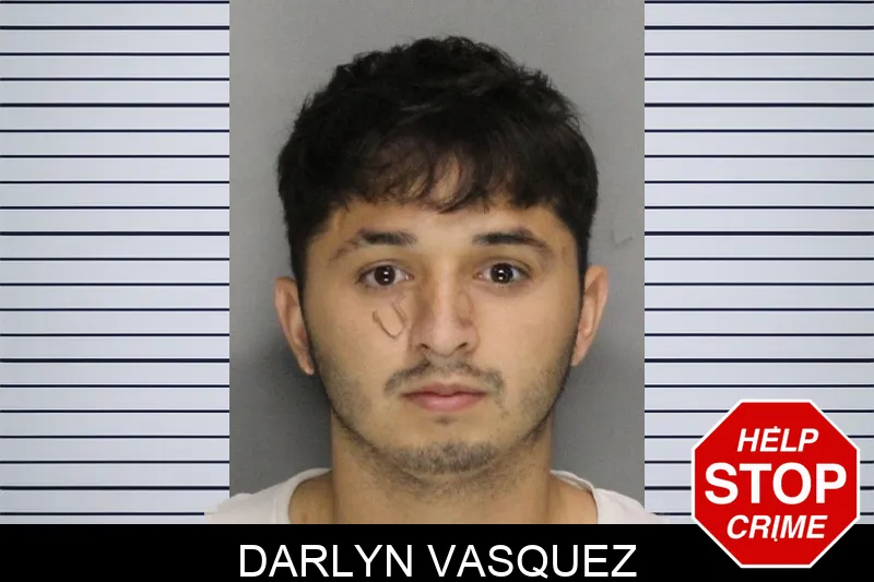 Darlyn Vasquez mugshot