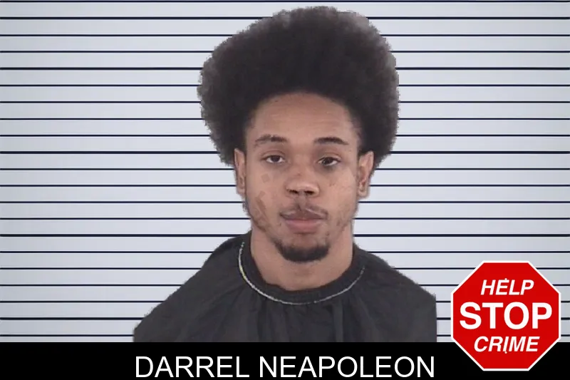 Darrel Neapoleon mugshot