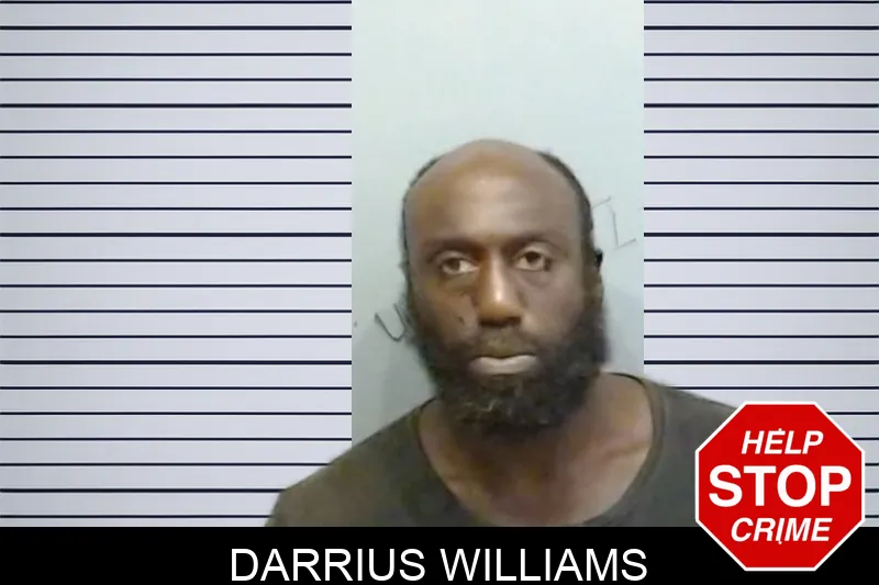 Darrius Williams mugshot