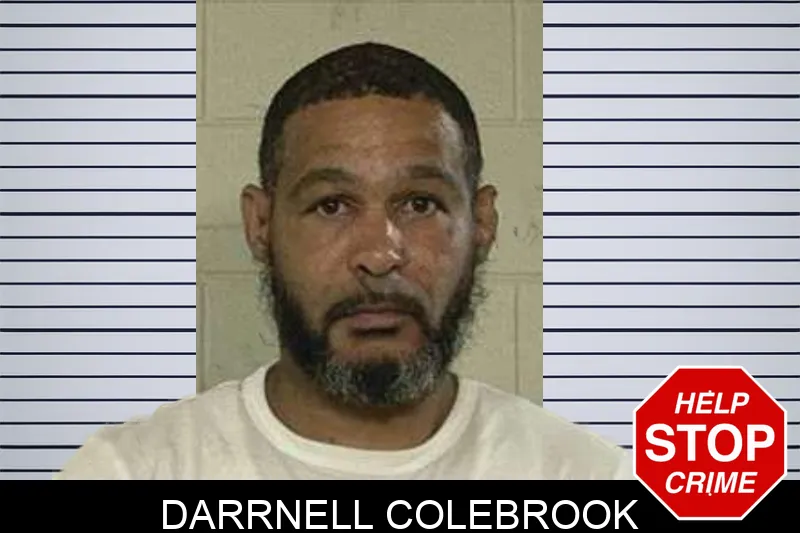 Darrnell Colebrook mugshot