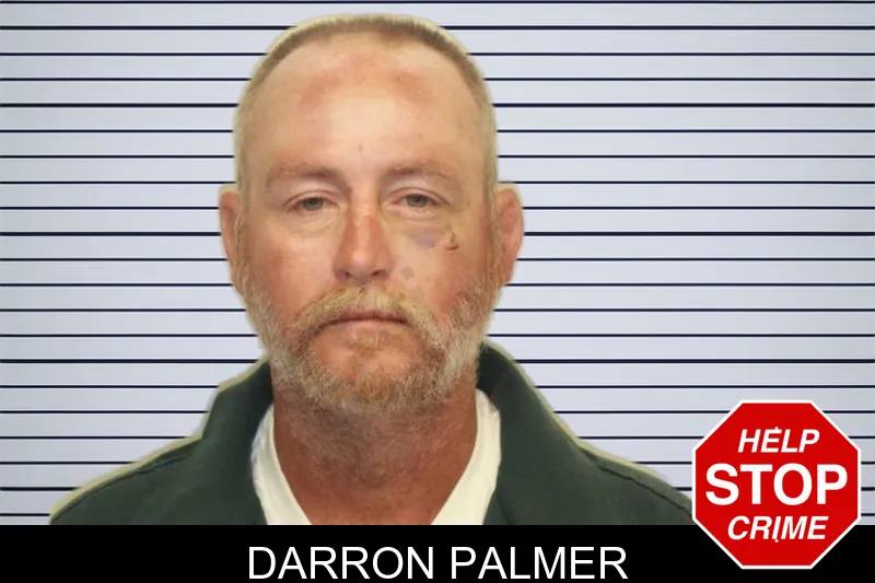 Darron Palmer mugshot