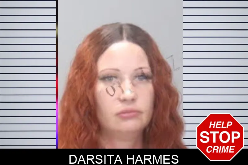 Darsita Harmes mugshot