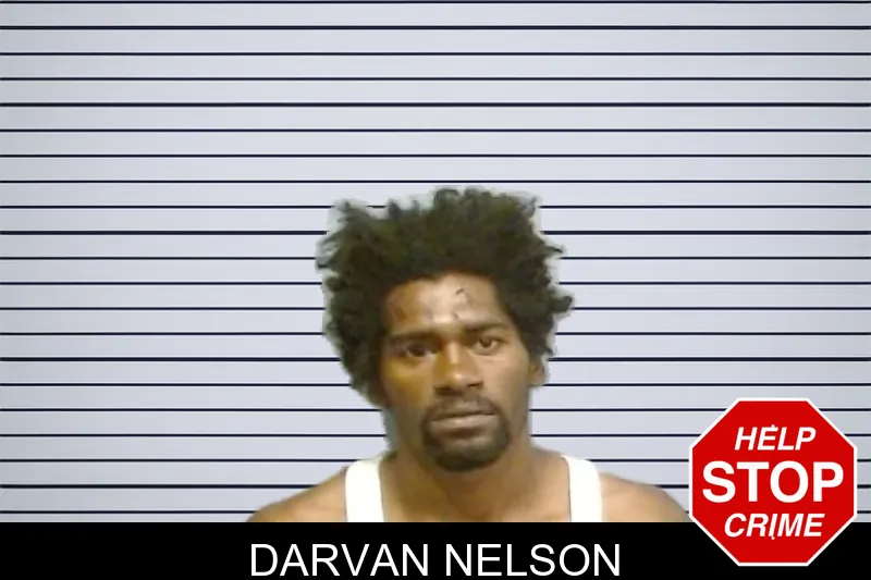 Darvan Nelson mugshot