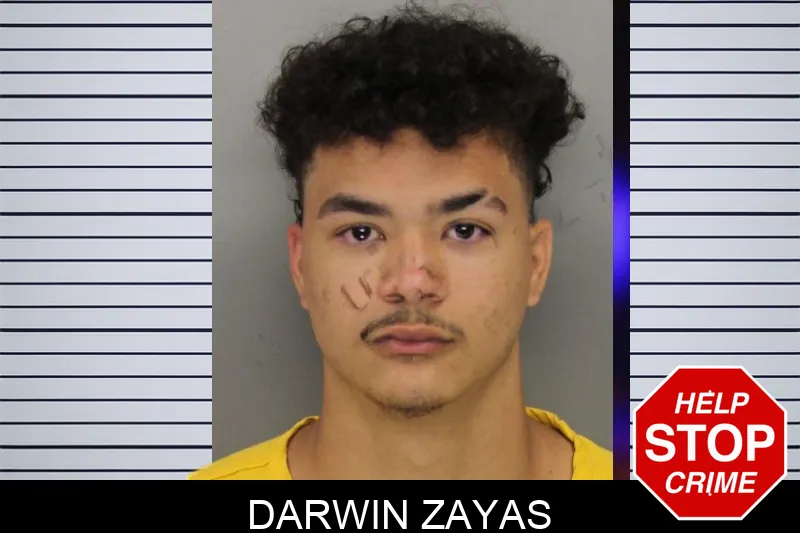 Darwin Zayas mugshot