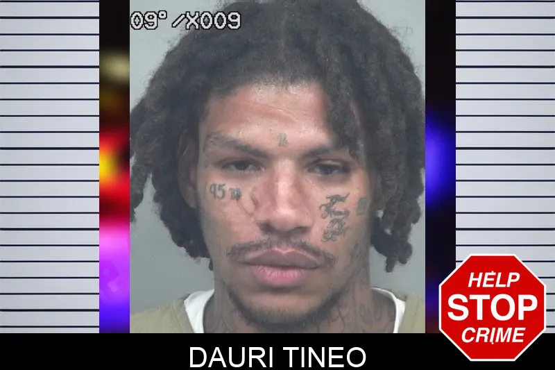 Dauri Tineo mugshot