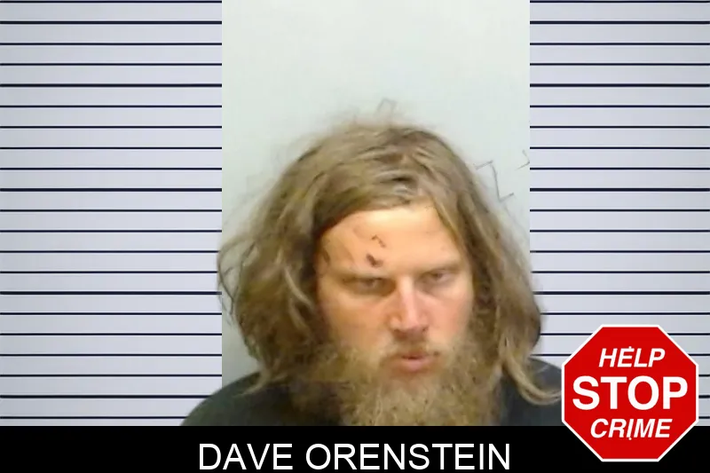 Dave Orenstein mugshot