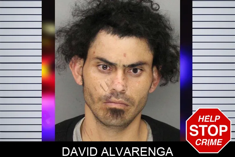 David Alvarenga mugshot