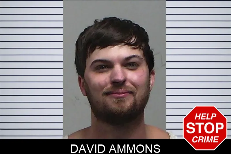David Ammons mugshot