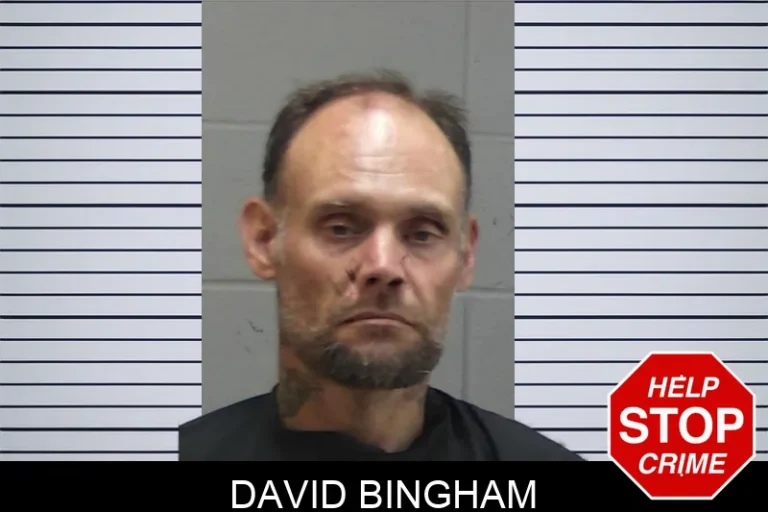 David Bingham