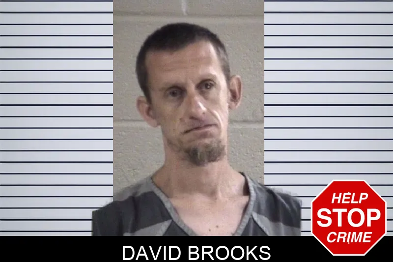 David Brooks mugshot