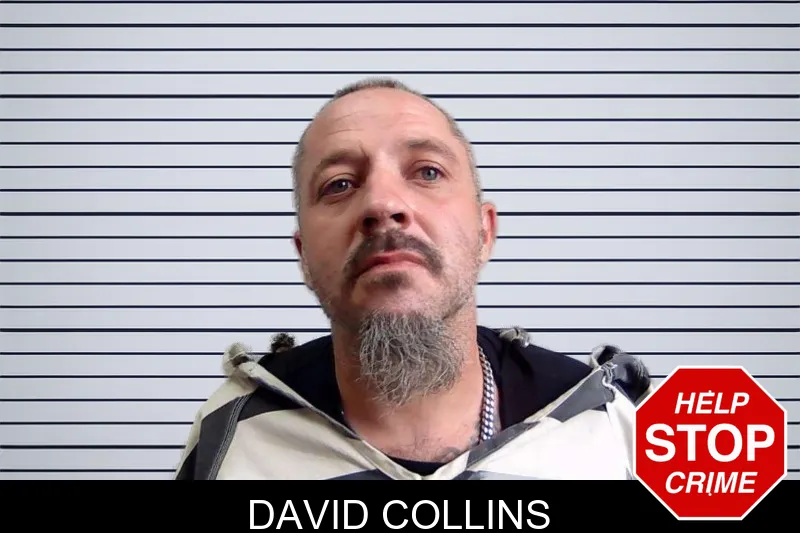 David Collins mugshot