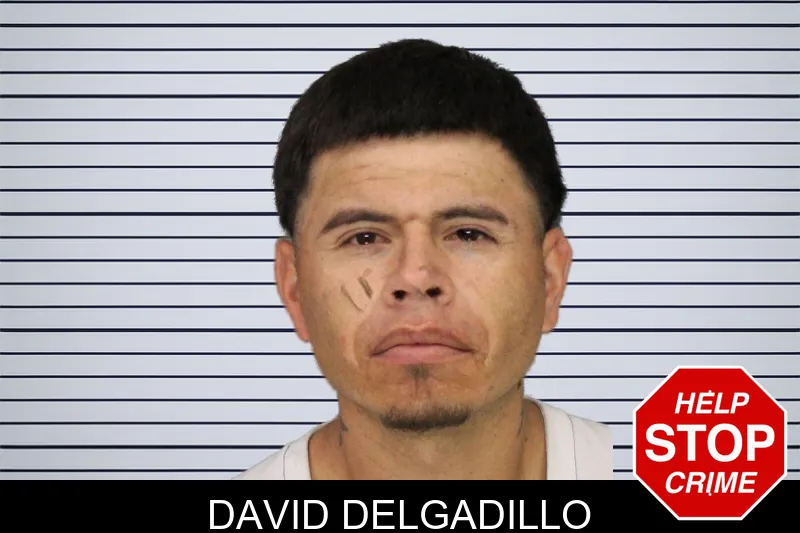 David Delgadillo mugshot – Cobb County , Georgia David Delgadillo mugshot