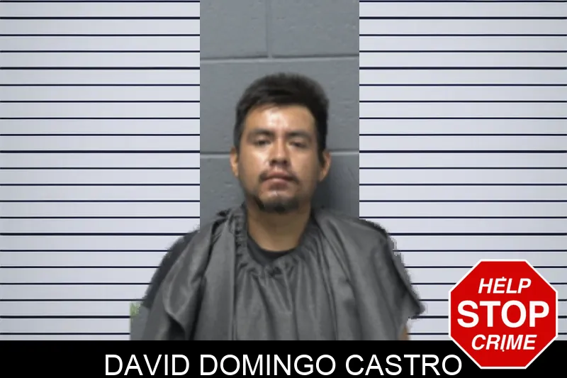 David Domingo Castro mugshot