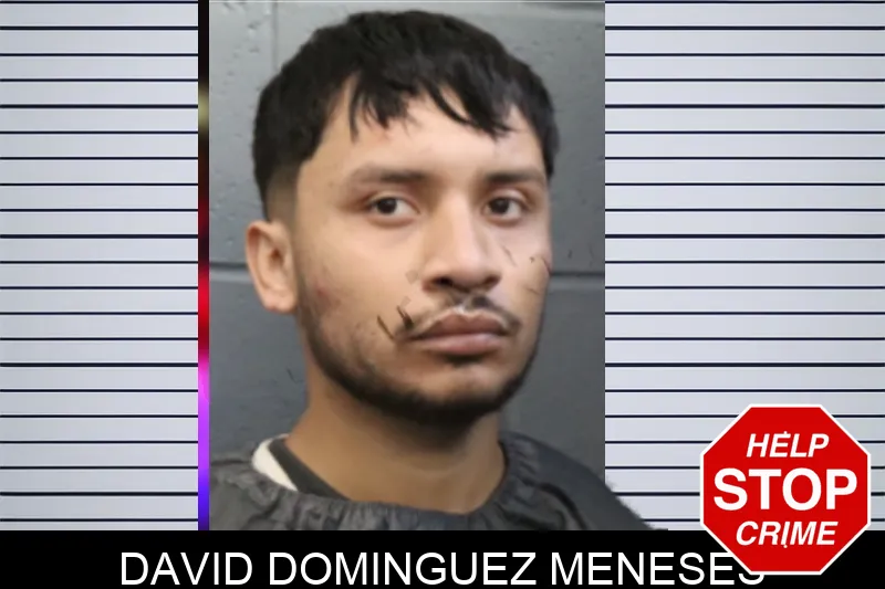 David Dominguez Meneses mugshot