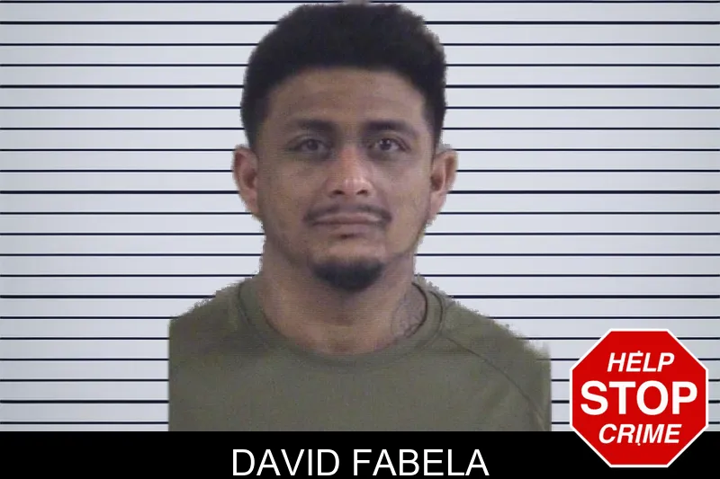 David Fabela mugshot – Whitfield County , Georgia David Fabela mugshot