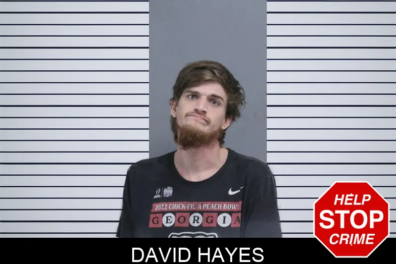 David Hayes mugshot