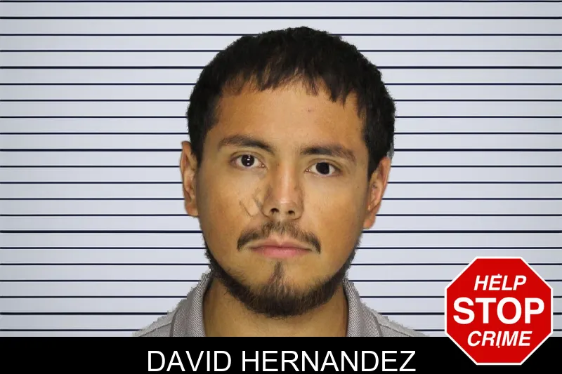 David Hernandez mugshot