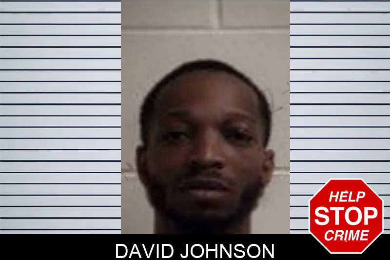 David Johnson mugshot