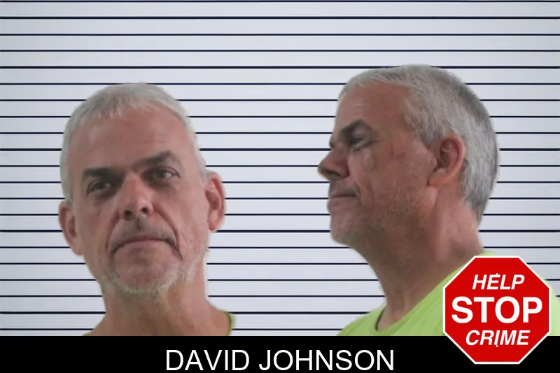 David Johnson mugshot