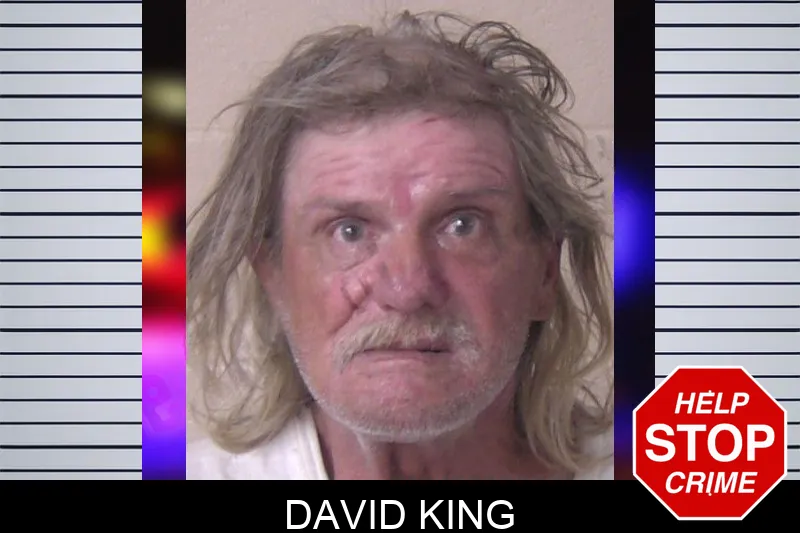 David King mugshot