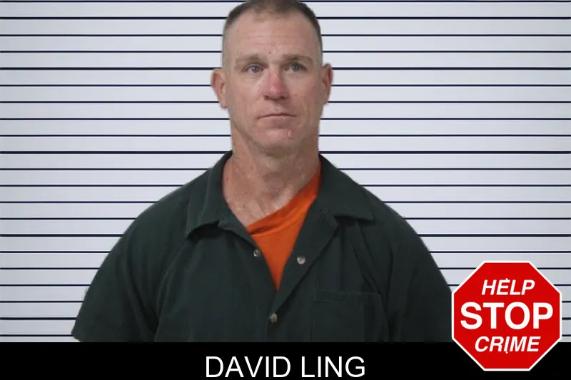 David Ling mugshot