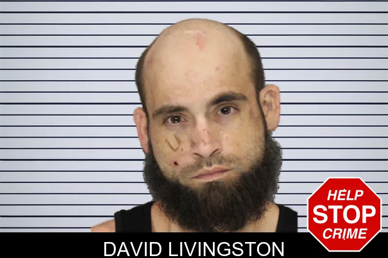 David Livingston mugshot
