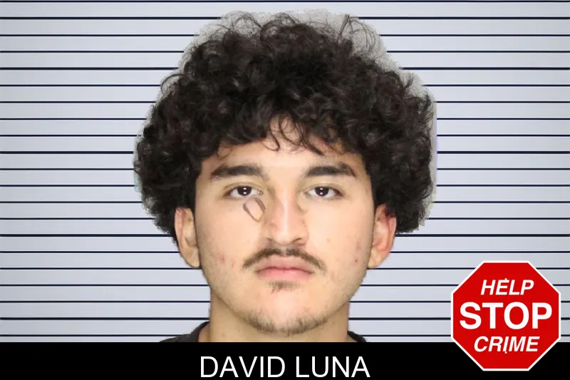 David Luna mugshot