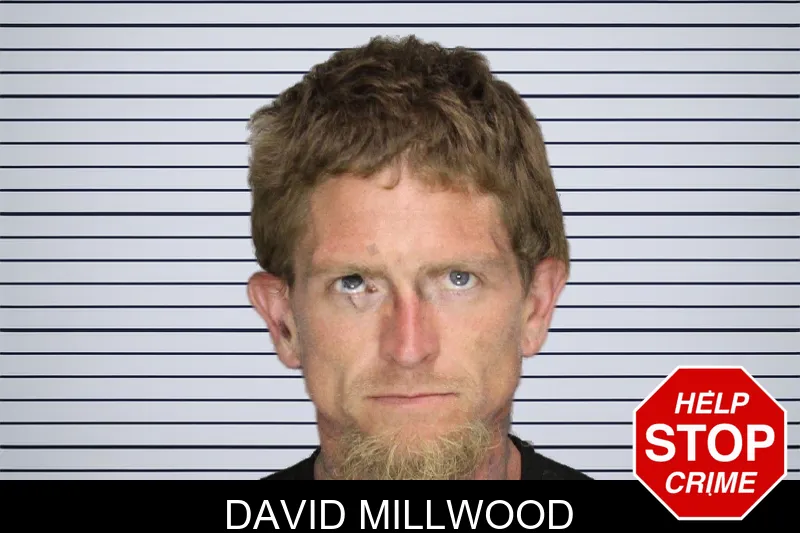 David Millwood mugshot