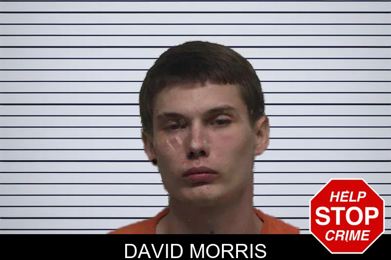 David Morris mugshot