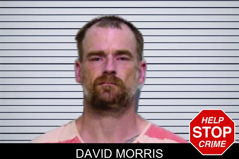 David Morris mugshot
