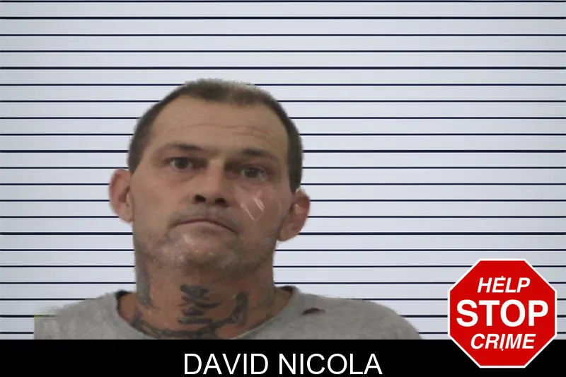 David Nicola mugshot