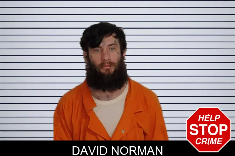 David Norman mugshot