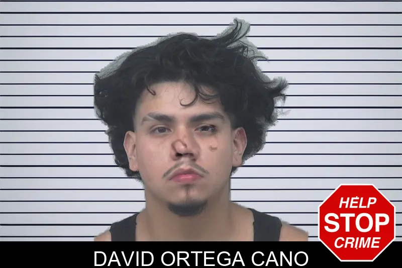 David Ortega Cano mugshot