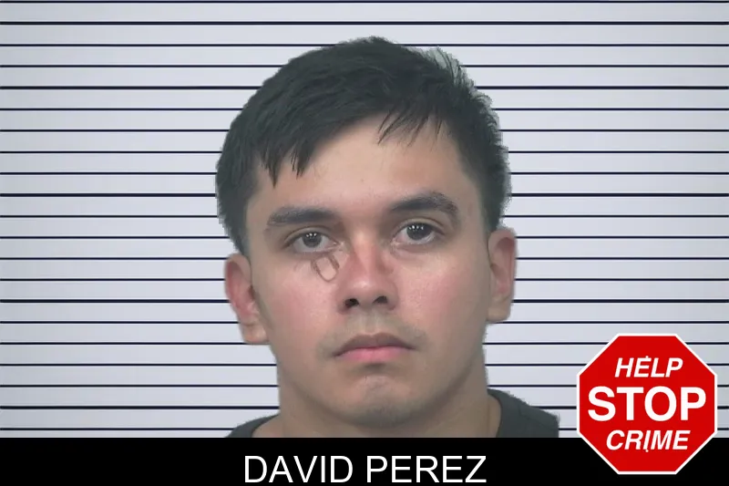 David Perez mugshot