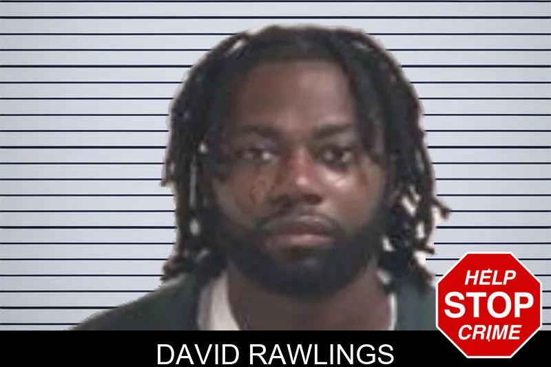 David Rawlings mugshot
