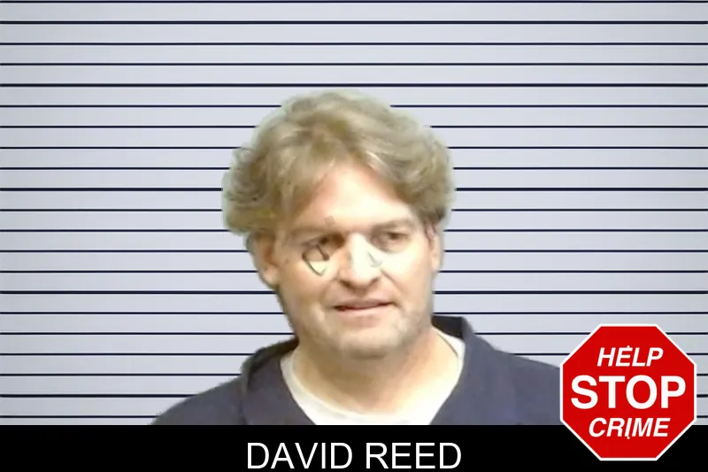 David Reed mugshot