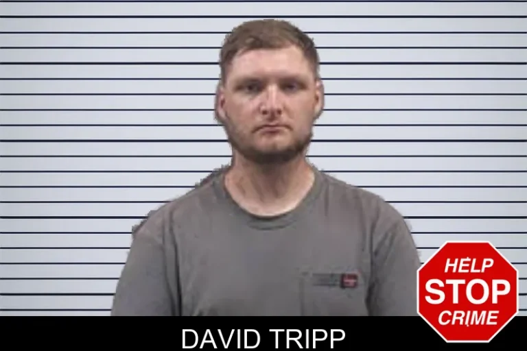 David Tripp