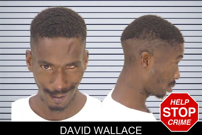 David Wallace mugshot