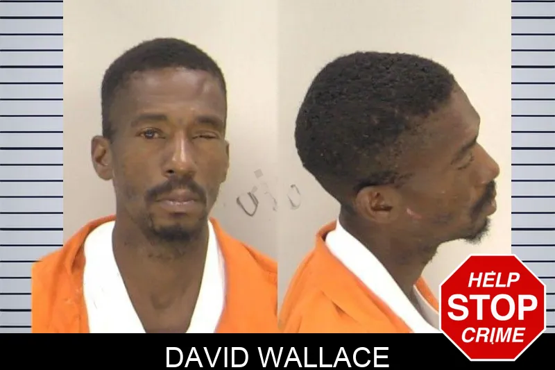 David Wallace mugshot