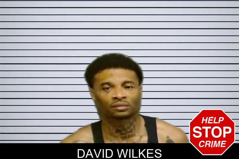 David Wilkes mugshot