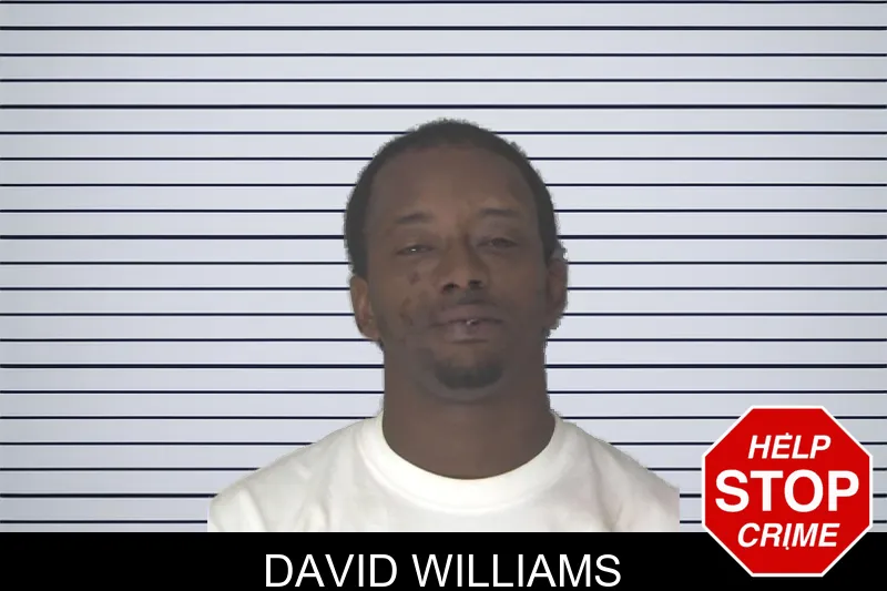 David Williams mugshot