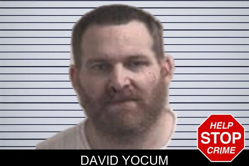 David Yocum mugshot