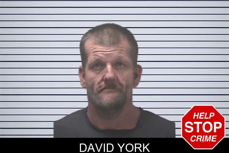 David York mugshot