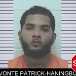 Davonte Patrick-Haningburg mugshot