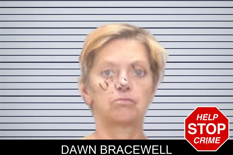Dawn Bracewell mugshot
